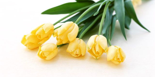 幸福な門出のために